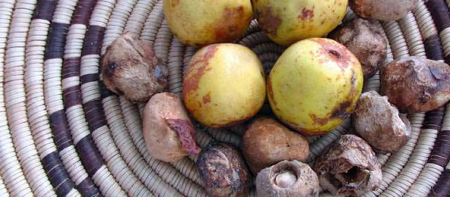 Description_of_the_image