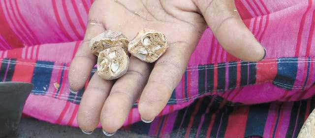 Description_of_the_image