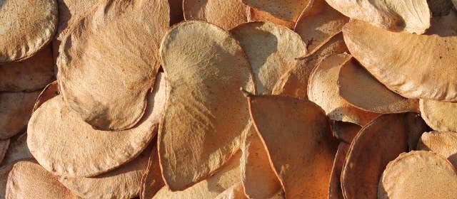 Description_of_the_image