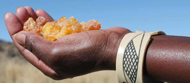 Description_of_the_image