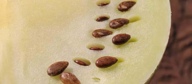 Description_of_the_image