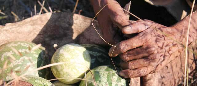 Description_of_the_image