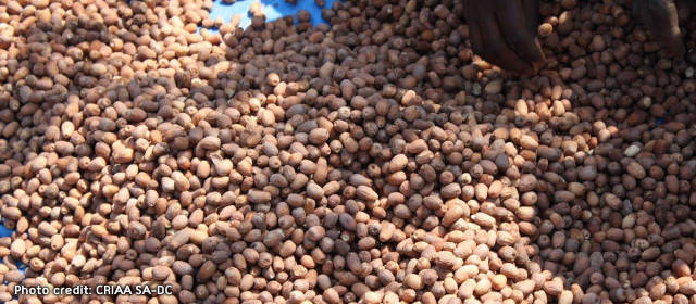 Description_of_the_image