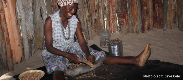 Description_of_the_image