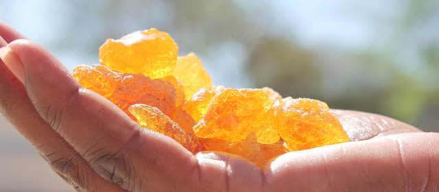 A Handful Of Namib Myrrh